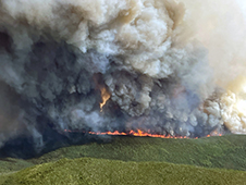 Wildland Fire & Aviation Program photo